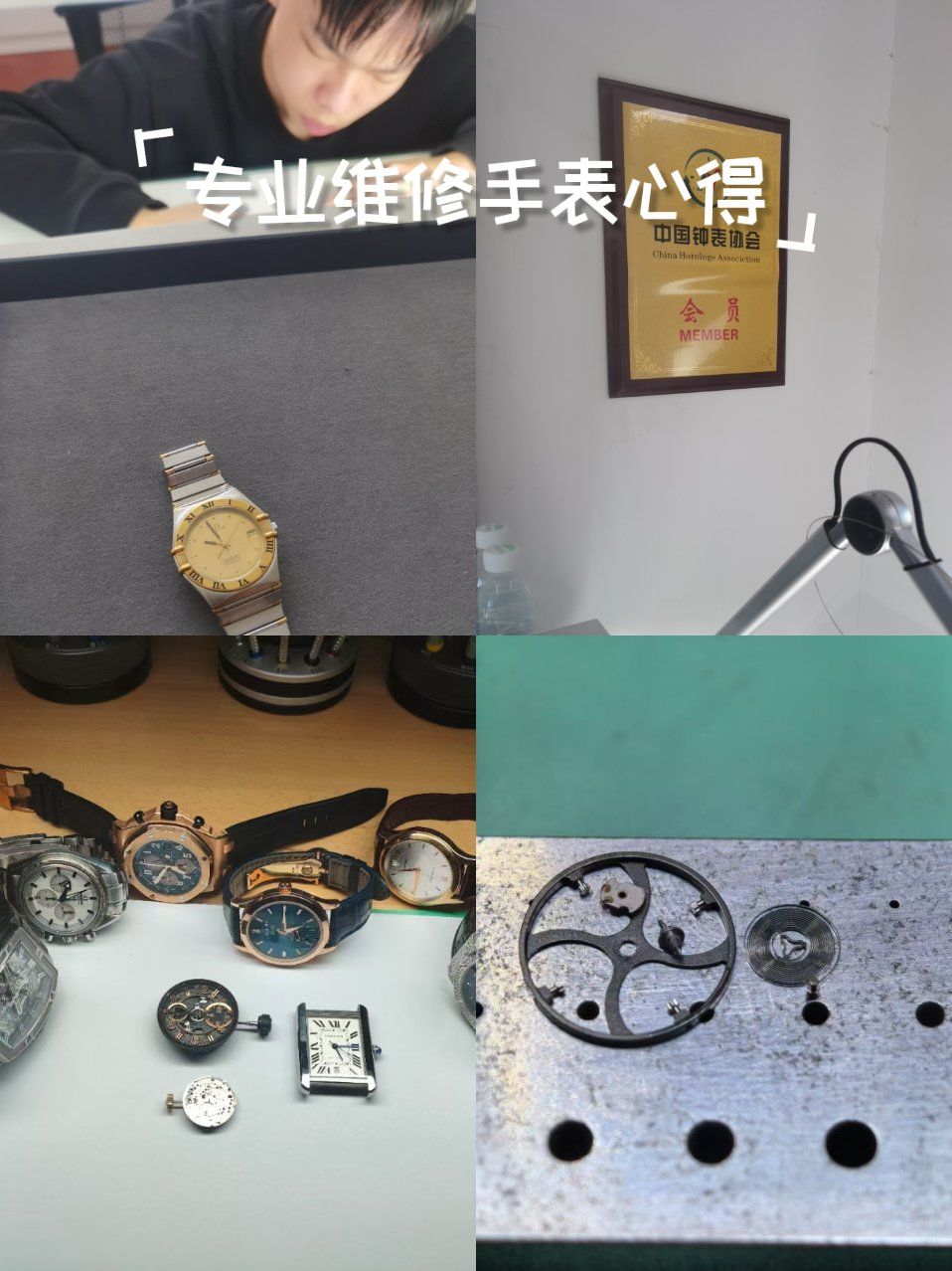 东方星手表是什么档次