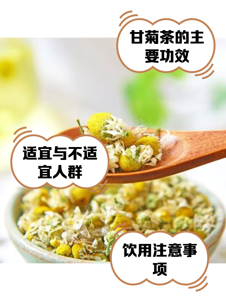 洋甘菊的功效与作用护肤品